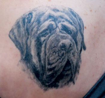 dog tattoo